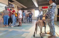 Ahead of the 2025 midterm polls, K9 units are already stationed at train stations across Metro Manila to ensure the safety of the commuters and to check on suspicious activities that may be related to the elections.