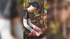 Haribon, Manulife set mangrove planting in Quezon