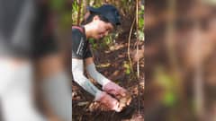 Haribon, Manulife set mangrove planting in Quezon