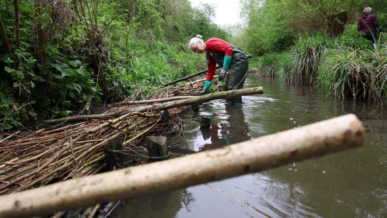 UK towns harness nature vs rising flood risk