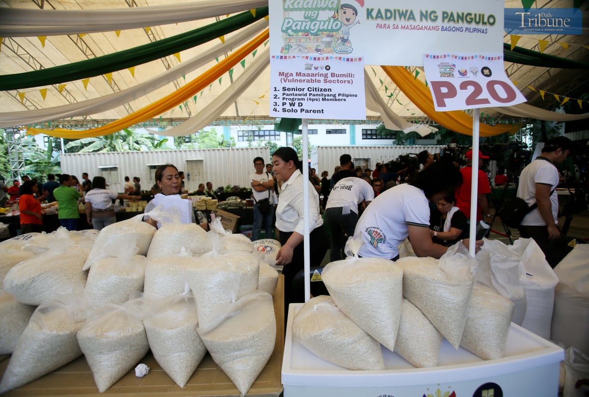 Photos by Analy Labor