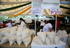 P20 rice program not wage hike substitute — DOLE