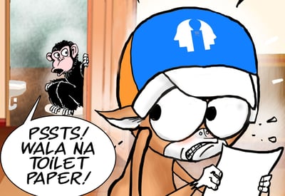 Crack coon