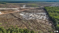 Indonesia gold mine landslide kills 6