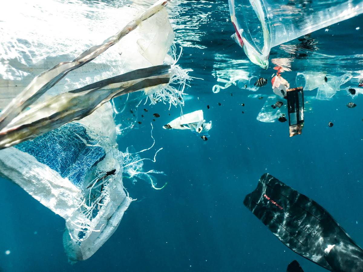 From small waterways of urban areas, or cruise ships that ply the waters, plastic finds its way out to the open sea.