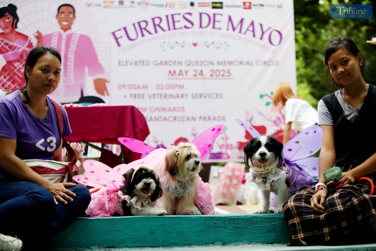 (May 24 2025) Fur parents with their pets wearing costumes to participate in the pet santacruzan parade “Furries De Mayo”. Furries de Mayo is a program that supports the welfare and promotes responsible animal care in Quezon City, hosted by the Quezon City Veterinary Department, held at Quezon City Circle on Saturday May 24 2025. Photo/Analy Labor