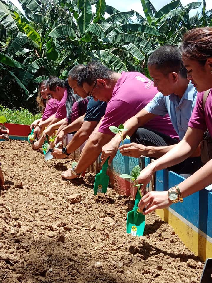 Okada Manila joins farming revolution