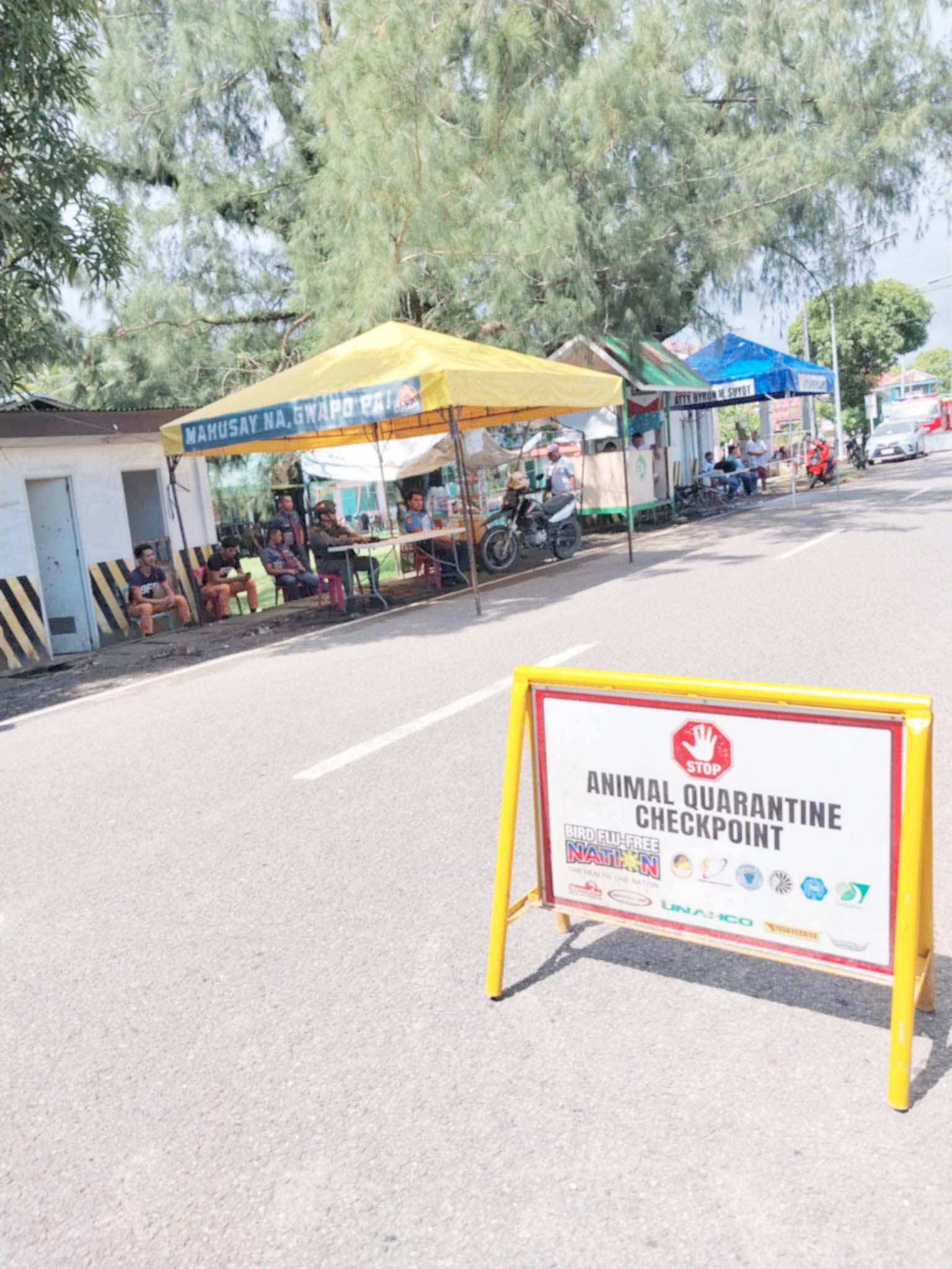 Borongan declares state of calamity