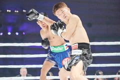 IBF champ detects major flaws