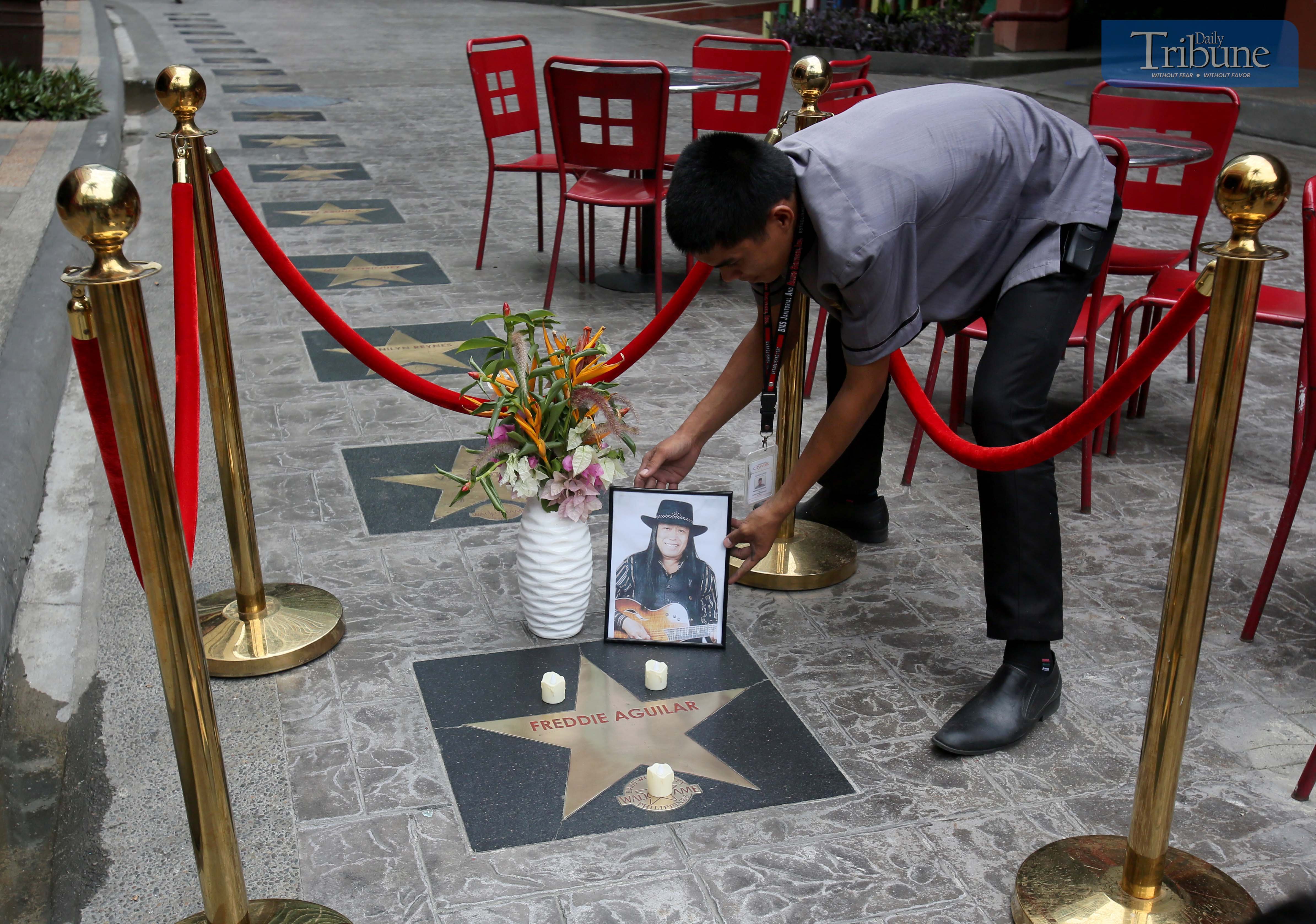 Remembering Freddie