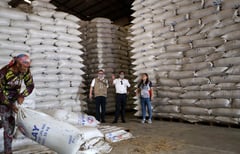 Boosting rice farmers’ income a priority – gov’t
