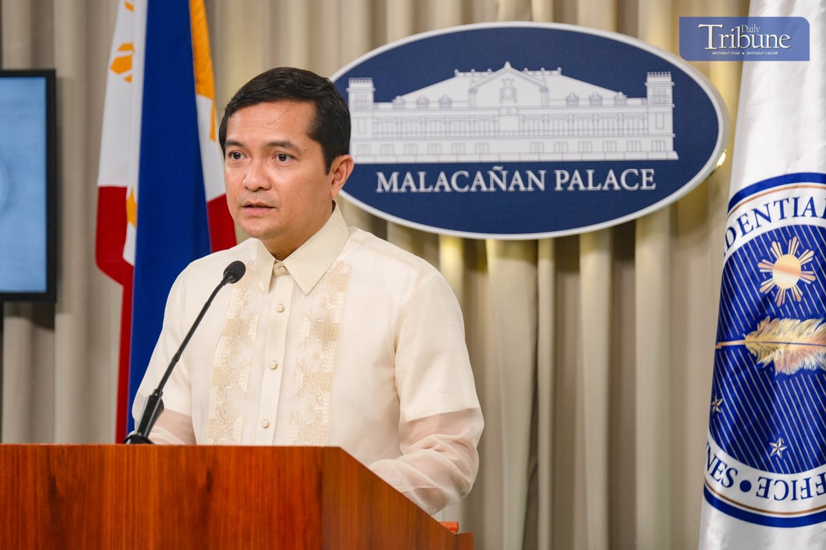 Executive Secretary Lucas Bersamin