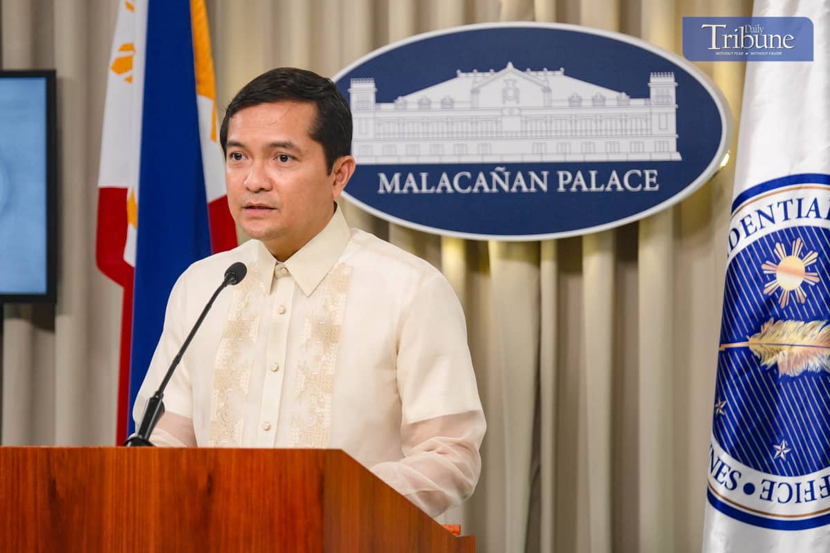 Executive Secretary Lucas Bersamin