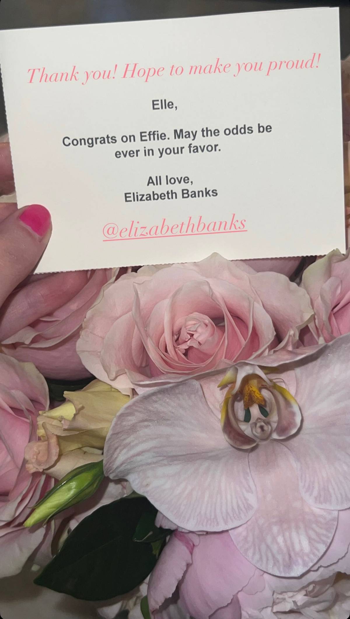 Elizabeth Banks tells Elle Fanning: 'May the odds be ever in your favor.'