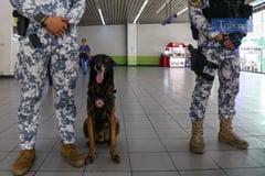 PCG K9 teams secure LRT-2 stations