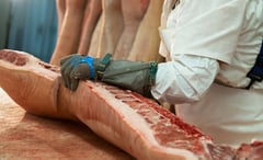 U.S. busts Pinoy firm over ‘pig butchering’