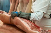 U.S. busts Pinoy firm over ‘pig butchering’