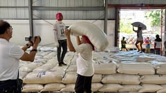 Farmers to access P20 rice via NFA warehouses