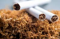 Baguio hailed for tobacco control efforts