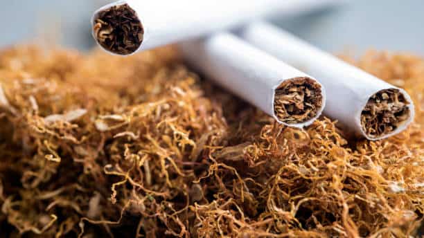 Baguio hailed for tobacco control efforts
