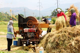 DA, NFA cited for boosting food security