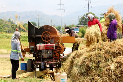 DA, NFA cited for boosting food security