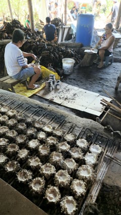 Sustaining a salt-making tradition in Bohol