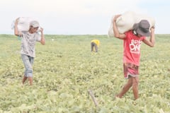 Farmers challenge DAR eviction order