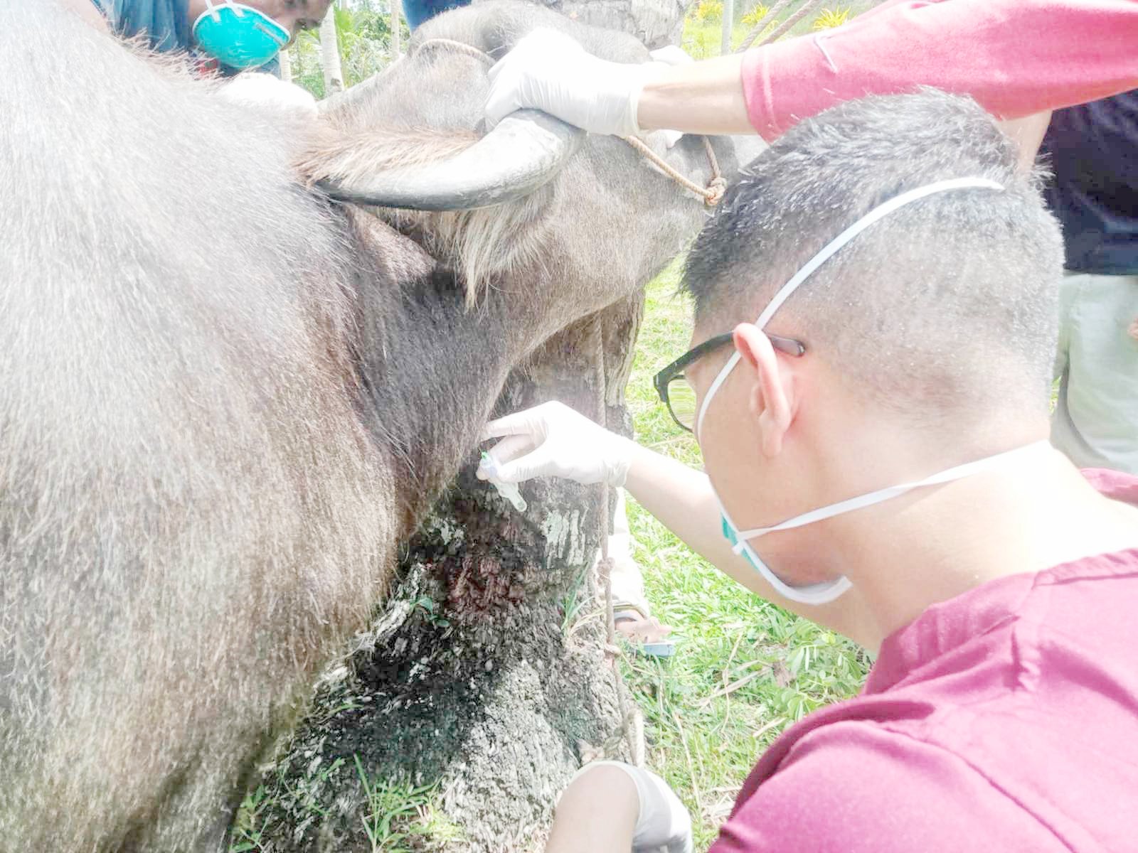 THE Department of Agriculture intensifies measures to contain the spread of melioidosis, a rare but potentially fatal bacterial disease, after confirmed human cases surfaced in the island province of Siquijor.