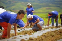 Bukidnon leads P2.42-T farm output
