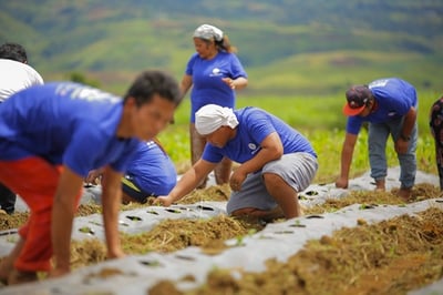 Bukidnon leads P2.42-T farm output
