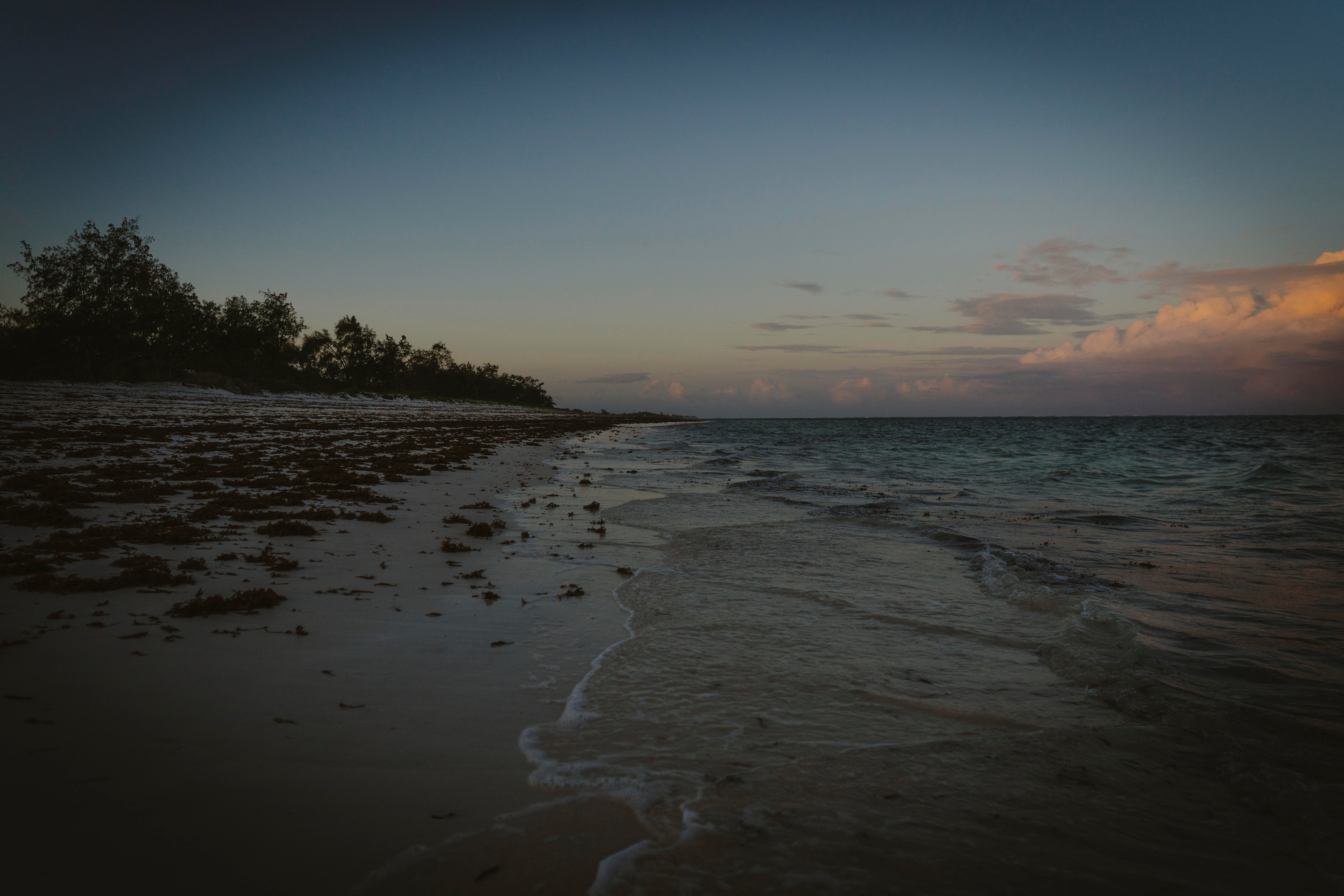 Oceans under pressure as warming waters endanger the planet