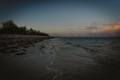 Oceans under pressure as warming waters endanger the planet