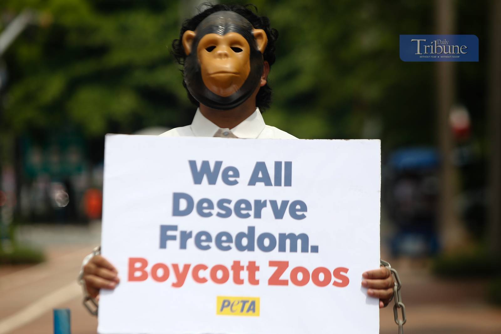 Animal rights advocates march at Luneta Park in Manila on 5 June 2025, ahead of Independence Day, urging the public to support their call to end the exploitation of wild animals in zoos. The group emphasized that animals in captivity are deprived of their natural habitats and behaviors.