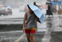 A PEDESTRIAN shields himself from a sudden downpour with an umbrella which appears to have seen better days on Friday 6 June in Quezon City. PAGASA says moderate to heavy rains with thunderstorms and strong winds are expected today over Zambales, Quezon, Cavite, Batangas, Laguna, Metro Manila and Rizal.