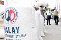 PRESIDENT Ferdinand Marcos Jr., accompanied by Agriculture Secretary Francisco Tiu Laurel Jr., inspects rice stocks at a National Food Authority warehouse in San Ildefonso, Bulacan in this file photo taken on 28 May. The inspection came as the government prepares to roll out P20-per-kilo rice in Bacolod City, one of the pilot areas for the administration’s targeted rice subsidy program.