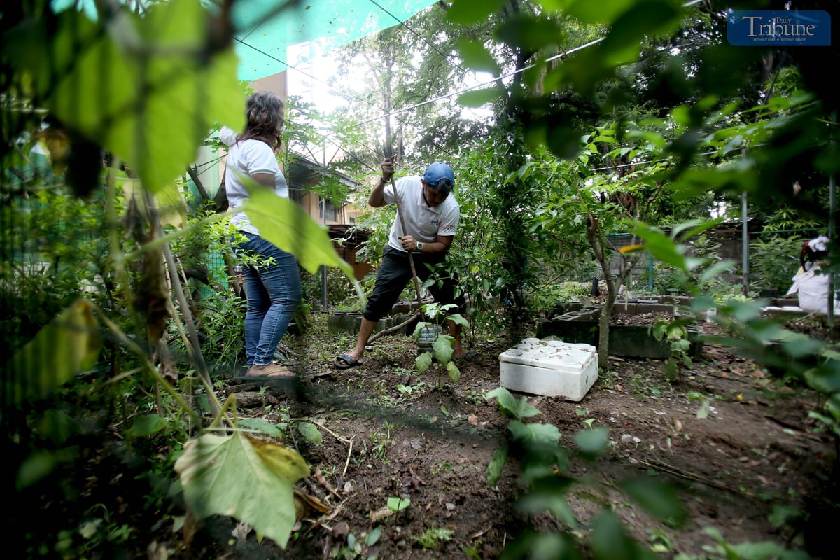 Teachers, volunteers, and students clean and repaint classrooms and collect recyclable materials at Quezon City High School on Saturday, 7 June 2025, during a special Brigada Eskwela activity in preparation for the opening of the new school year on 16 June.