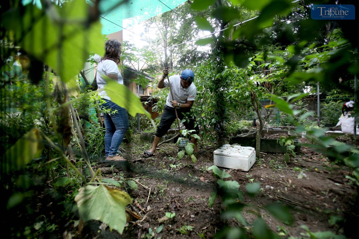 Teachers, volunteers, and students clean and repaint classrooms and collect recyclable materials at Quezon City High School on Saturday, 7 June 2025, during a special Brigada Eskwela activity in preparation for the opening of the new school year on 16 June.