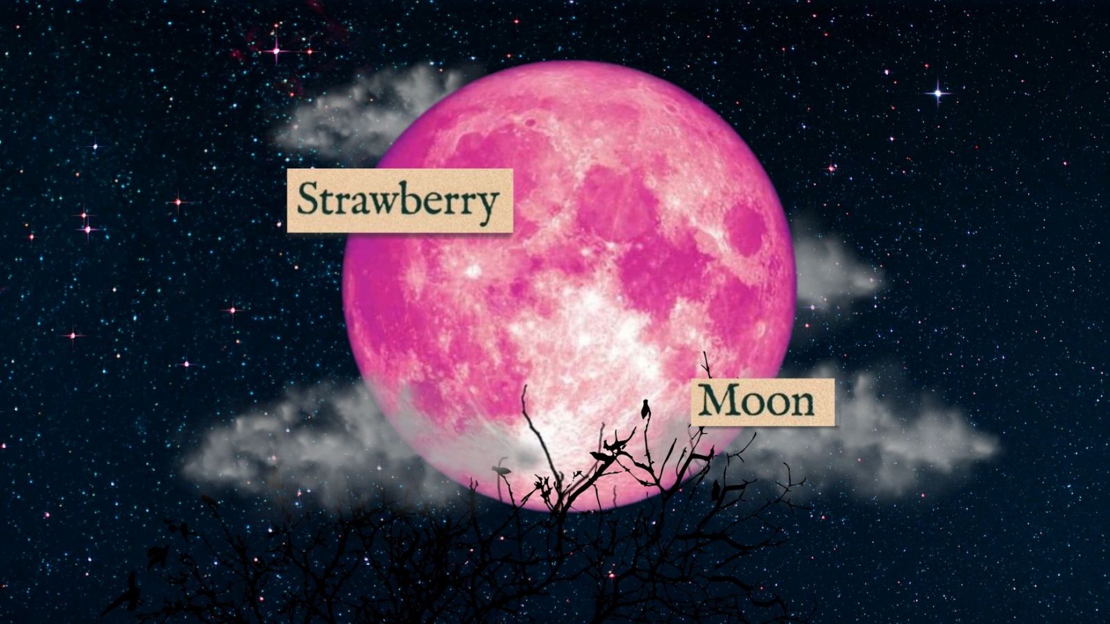 'Strawberry moon' to light up the night sky