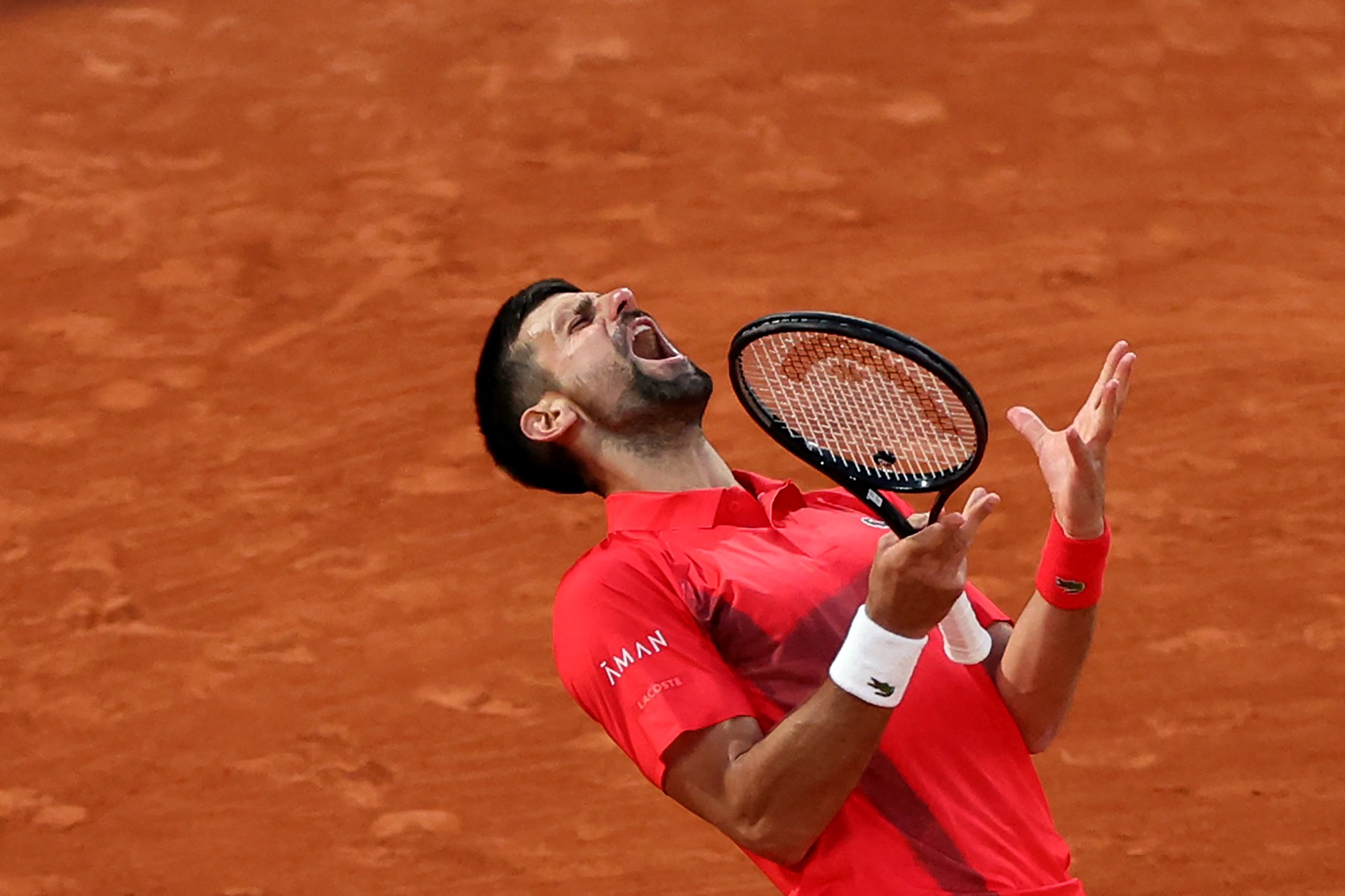 Novak hints at Garros farewell