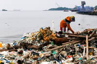 Plastic ban no silver bullet for marine litter — SPS