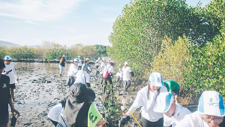 SECURITY Bank employees from the head office and branches in La Union, Baguio and Urdaneta take part in the mangrove planting.