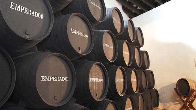 Tan hands deputy Emperador’s rein