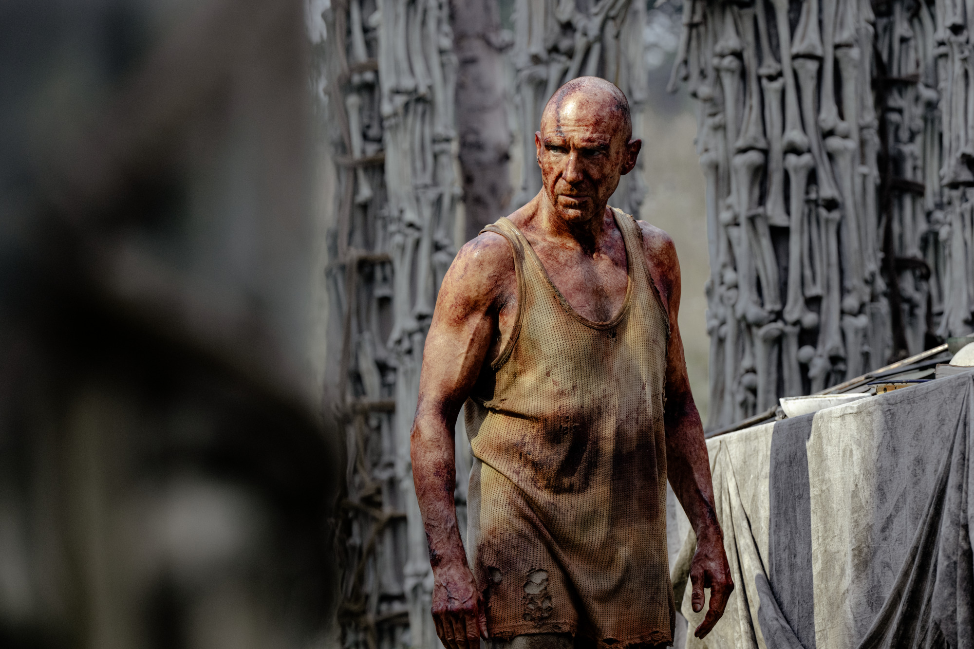 Academy Award nominee Ralph Fiennes is iodine-shielded in '28 Years Later'