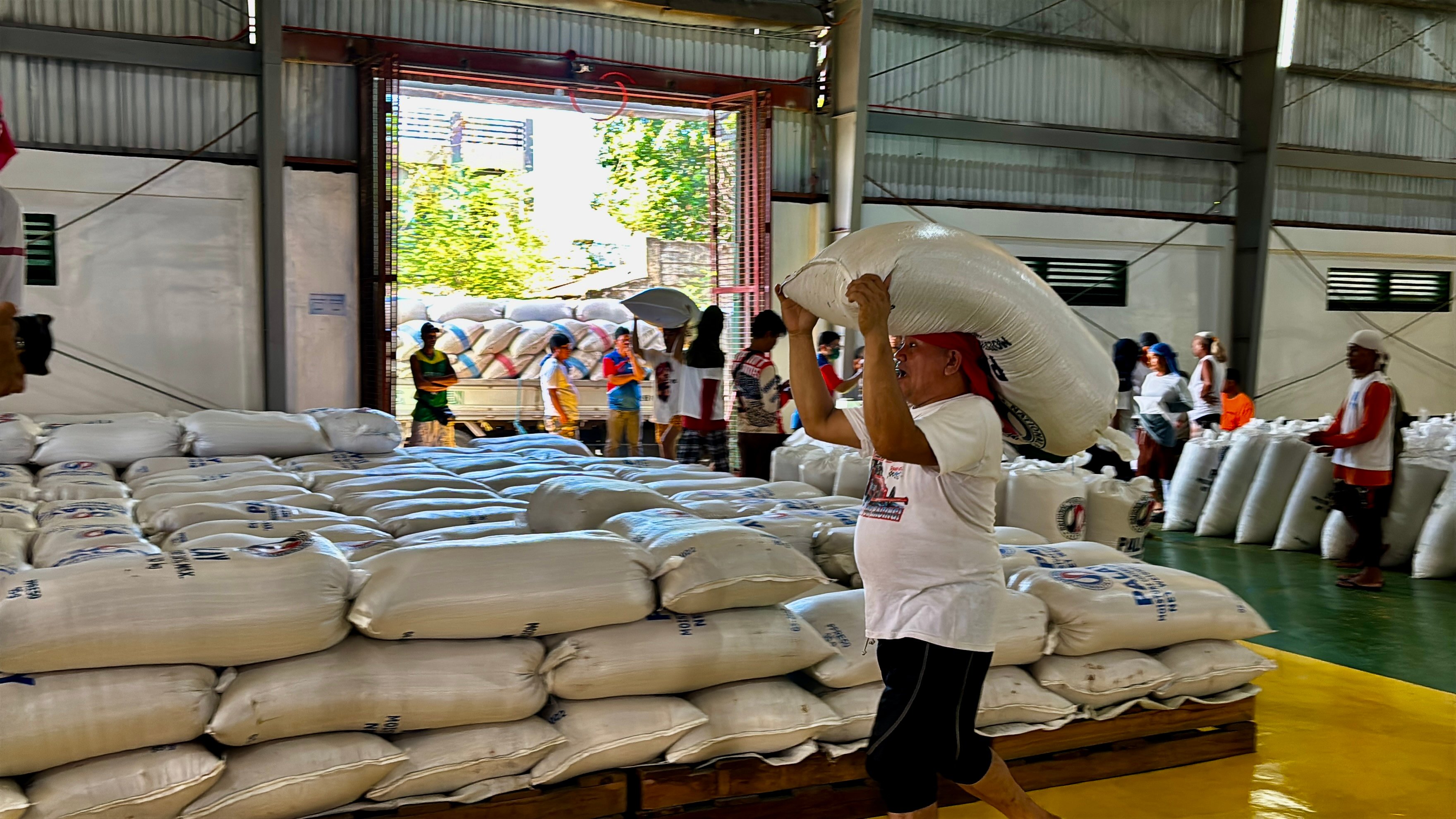 DA backs gradual rice tariff hike to shield farmers