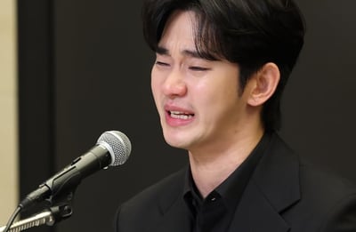 Kim Soo Hyun's property seized, brands seek damages