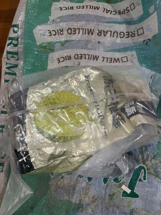 Freeze-dried durian? P6.8M in suspected drugs wash up in Paoay
