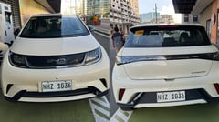 Nature’s gentle Dolphin and an EV drive