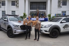 Mazda backs pangolin conservation