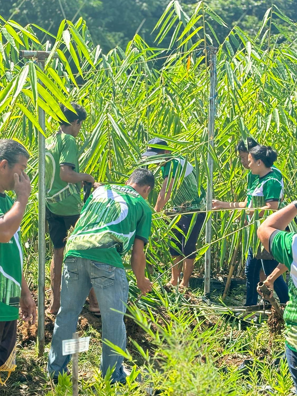 PARTICIPANTS join hands-on activities to learn how to plant and grow bamboo.